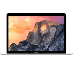 MacBook Retina 12" A1534 - Early 2015